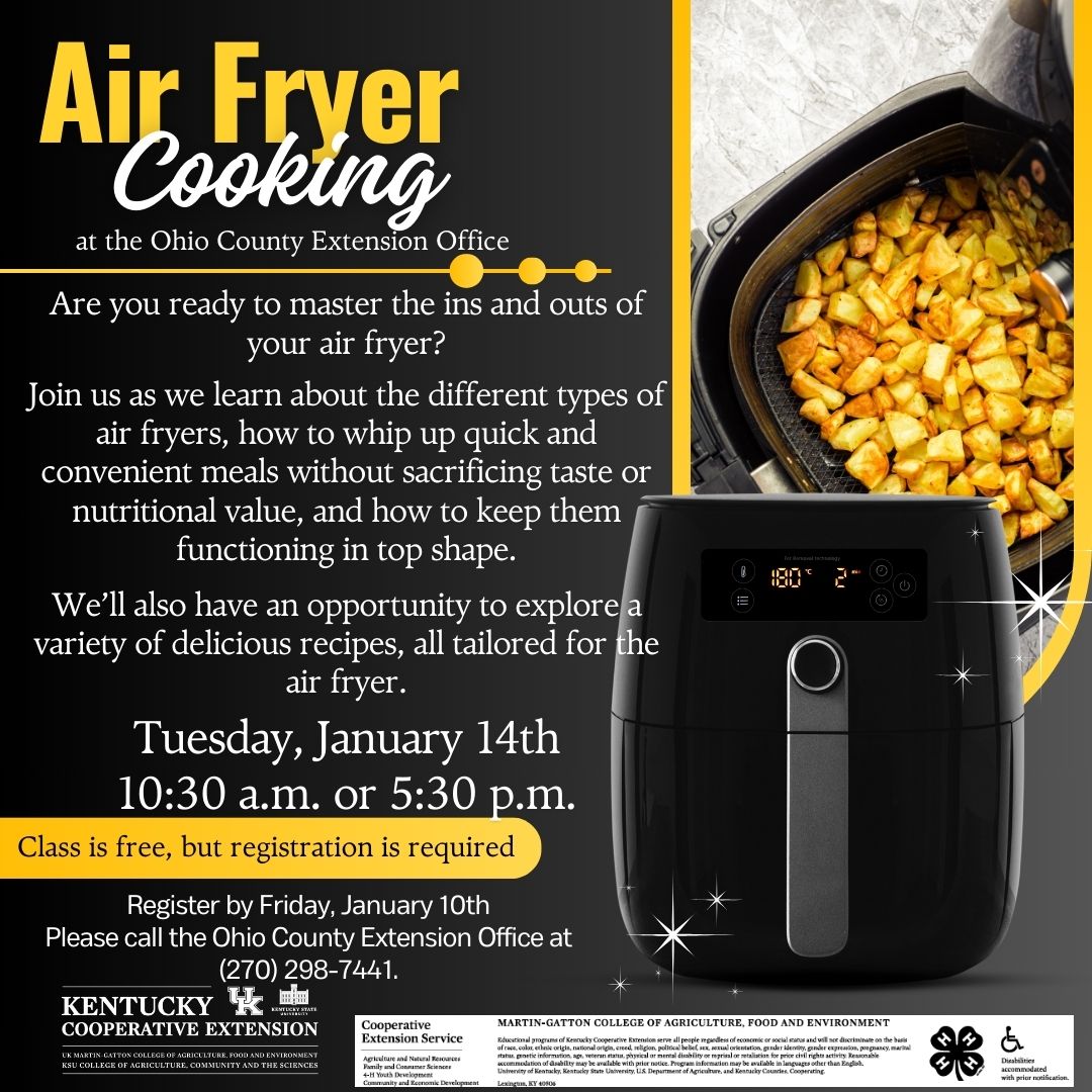 Air Fryer Cooking