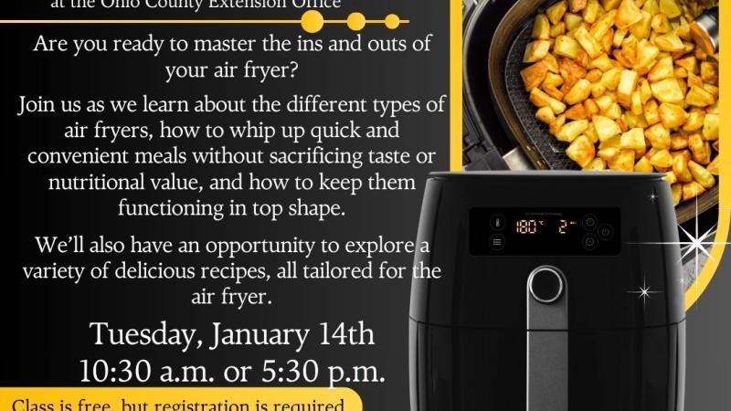 Air Fryer Cooking