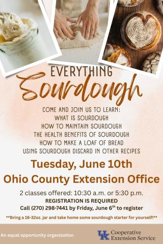 Sourdough Everything Class